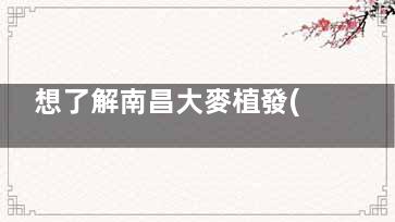 想了解南昌大麥植發(fā)醫(yī)院地址？看這里！有名連鎖機(jī)構(gòu)，技術(shù)實(shí)力強(qiáng)，為您解決脫發(fā)困擾！